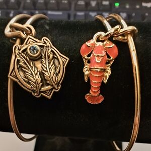 Alex And Ani 2 Charm Bracelet Set